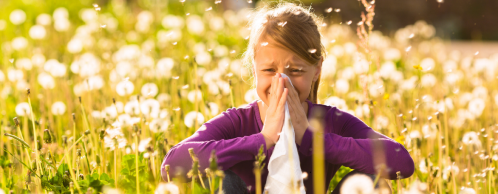 Les allergies saisonnières : comprendre, prévenir et soulager