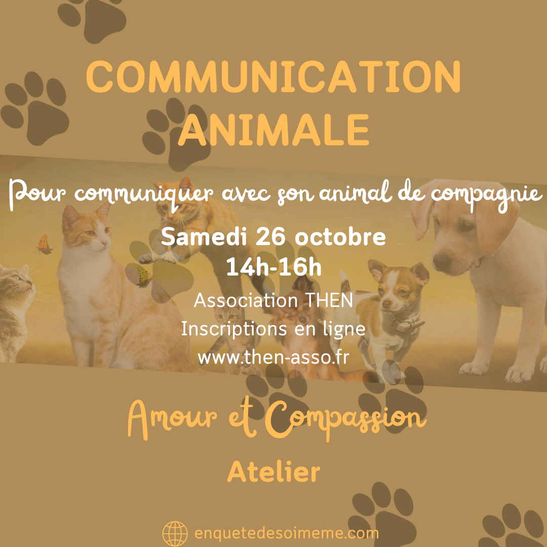 Communication animale