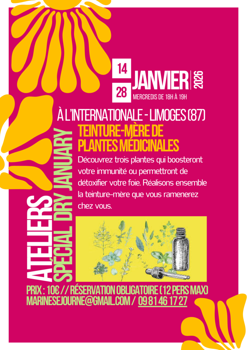 Atelier alcoolature de plantes médicinales